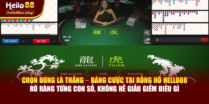 Chọn đúng là thắng – bảng cược tại Rồng Hổ Hello88 rõ ràng từng con số, không hề giấu giếm điều gì