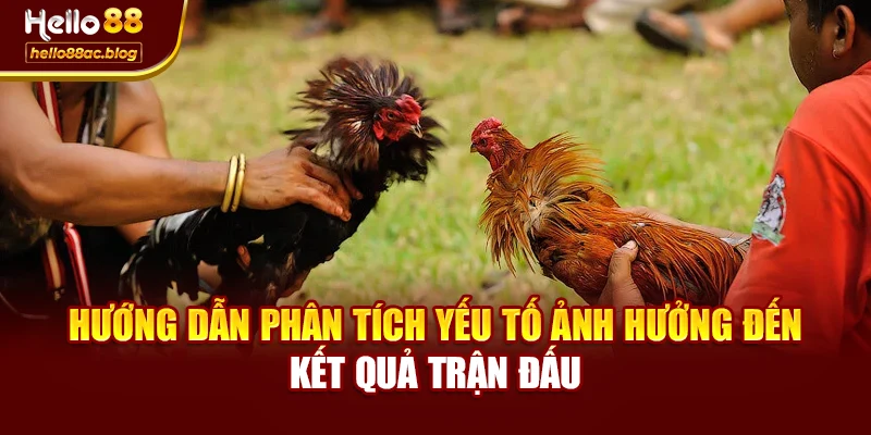 Hướng dẫn phân tích yếu tố ảnh hưởng đến kết quả trận đấu