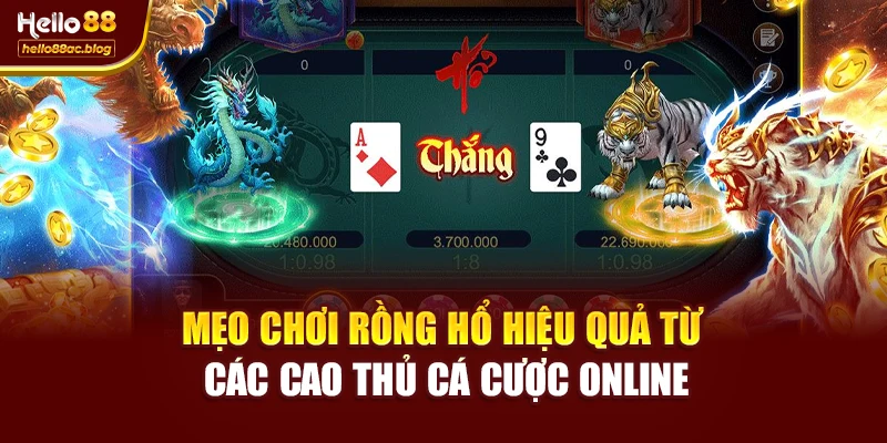 Mẹo chơi Rồng Hổ hiệu quả từ các cao thủ cá cược online