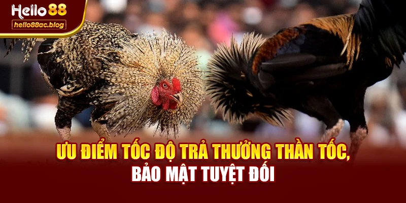 Ưu điểm tốc độ trả thưởng thần tốc, bảo mật tuyệt đối